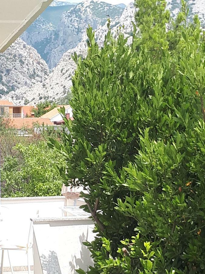 Apartmani Korina Starigrad Paklenica Exterior foto